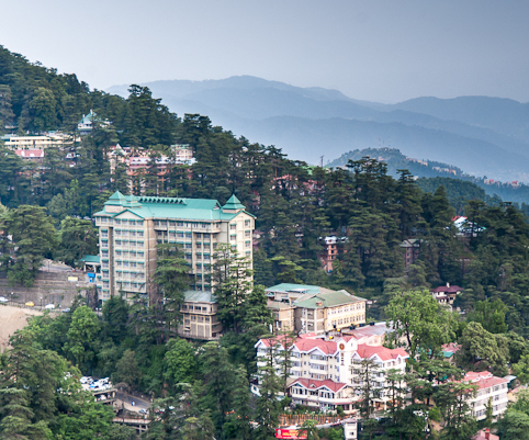 Shimla
