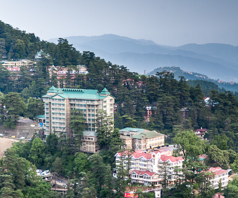 Shimla