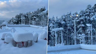 Fresh Snowfall, welcoming new year 2021